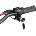Electric Scooter City Boss Z350 Black