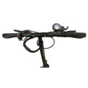 Electric scooter Joyor Y10 black