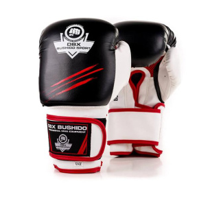 Boxing gloves DBX BUSHIDO DBD-B-2 v3