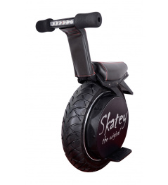 Electric Skatey Balance Bike Pro