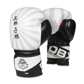 Boxing gloves DBX BUSHIDO B-2v8