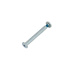 Screw - 41mm