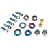 Salt Nut and Bolt Set (Rainbow)