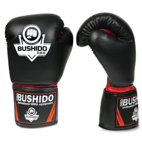 Boxing gloves DBX BUSHIDO ARB-407
