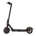 Electric scooter Street Surfing VOLTAIK SRG 250 black