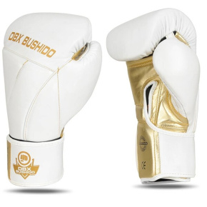 Boxing gloves DBX BUSHIDO B-2v19